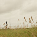 Cape Hatteras Lighthouse