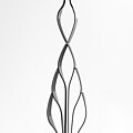 Forks